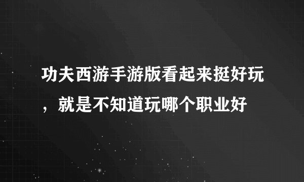 功夫西游手游版看起来挺好玩，就是不知道玩哪个职业好