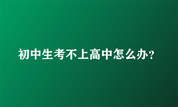 初中生考不上高中怎么办？