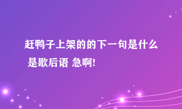 赶鸭子上架的的下一句是什么 是歇后语 急啊!