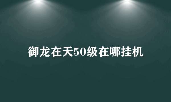 御龙在天50级在哪挂机