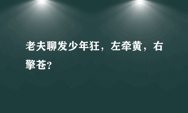 老夫聊发少年狂，左牵黄，右擎苍？