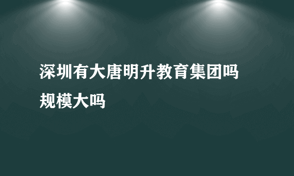 深圳有大唐明升教育集团吗 规模大吗