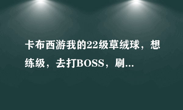 卡布西游我的22级草绒球，想练级，去打BOSS，刷什么修为最好？并附上练级攻略