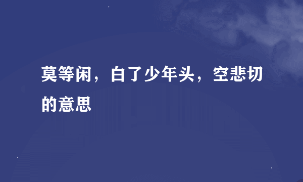 莫等闲，白了少年头，空悲切的意思