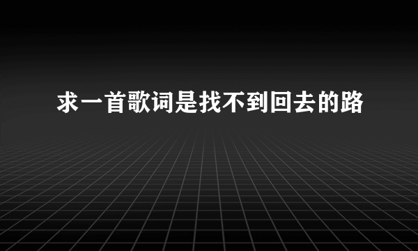 求一首歌词是找不到回去的路