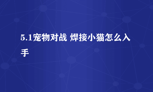 5.1宠物对战 焊接小猫怎么入手