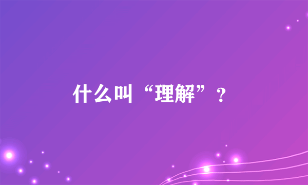 什么叫“理解”？