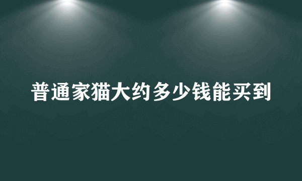 普通家猫大约多少钱能买到