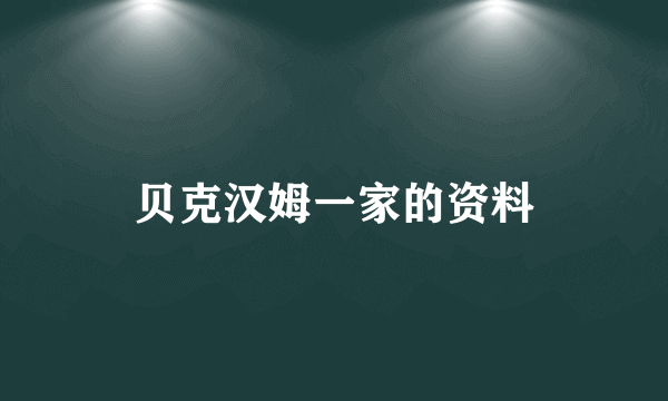 贝克汉姆一家的资料