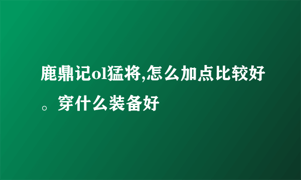 鹿鼎记ol猛将,怎么加点比较好。穿什么装备好