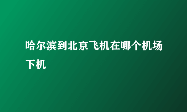 哈尔滨到北京飞机在哪个机场下机