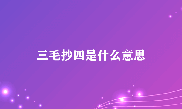 三毛抄四是什么意思