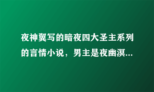 夜神翼写的暗夜四大圣主系列的言情小说，男主是夜幽溟的小说叫什么名字？