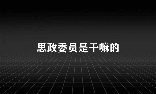 思政委员是干嘛的