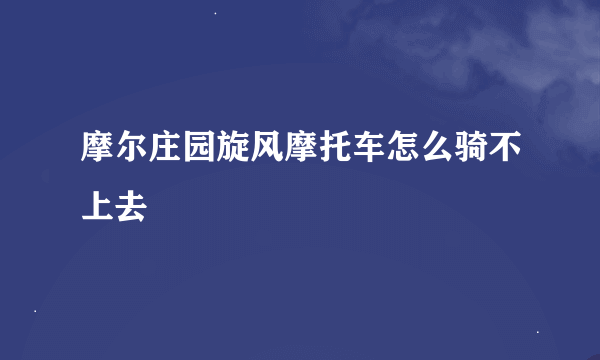 摩尔庄园旋风摩托车怎么骑不上去