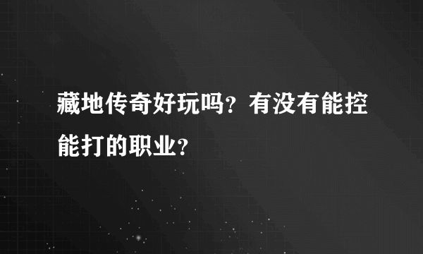 藏地传奇好玩吗？有没有能控能打的职业？