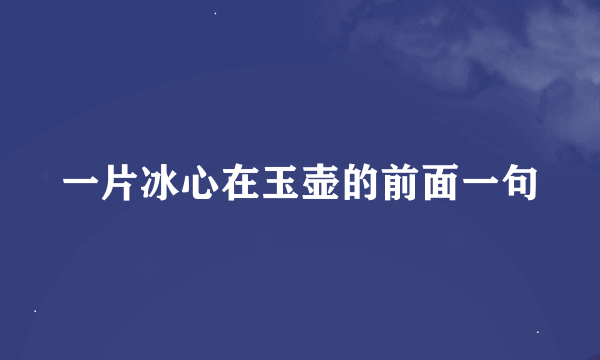 一片冰心在玉壶的前面一句