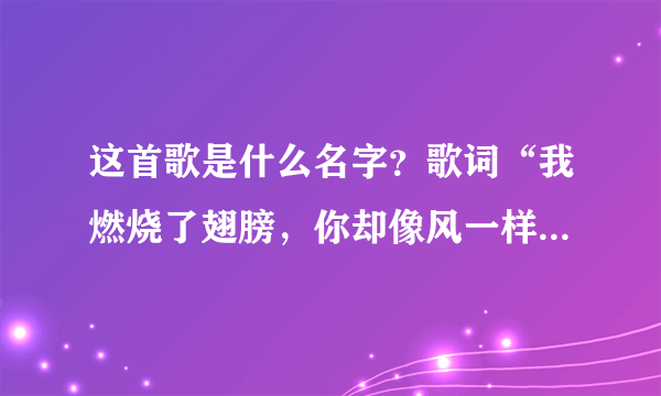 这首歌是什么名字？歌词“我燃烧了翅膀，你却像风一样，那风铃在摇晃，倾听一种悲伤”