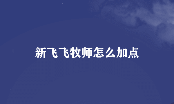 新飞飞牧师怎么加点