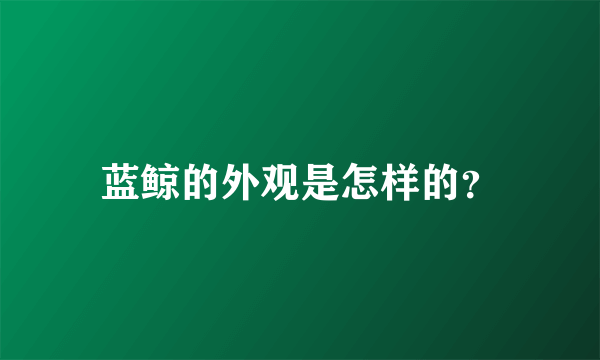 蓝鲸的外观是怎样的？