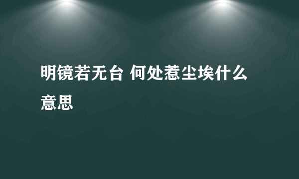 明镜若无台 何处惹尘埃什么意思