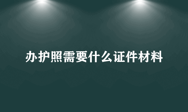 办护照需要什么证件材料