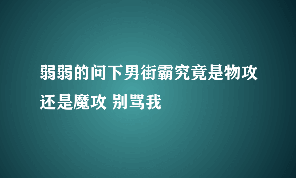 弱弱的问下男街霸究竟是物攻还是魔攻 别骂我