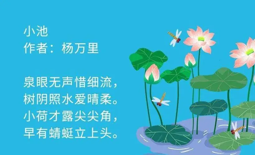 古诗小池的意思