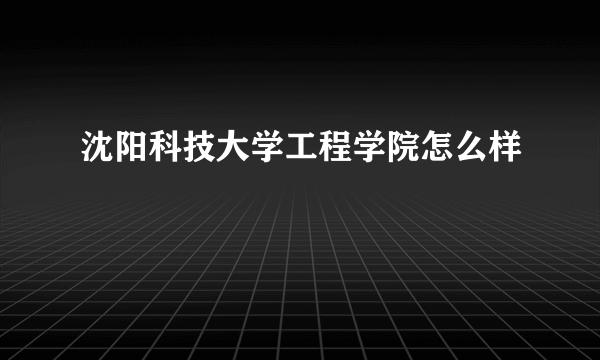 沈阳科技大学工程学院怎么样