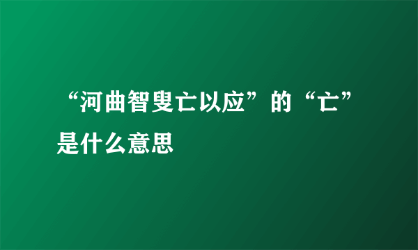 “河曲智叟亡以应”的“亡”是什么意思