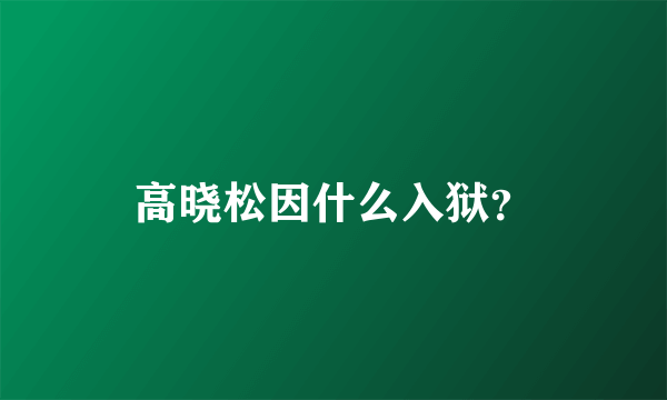 高晓松因什么入狱？