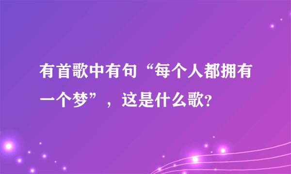 有首歌中有句“每个人都拥有一个梦”，这是什么歌？