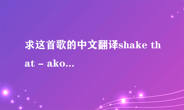 求这首歌的中文翻译shake that - akon ft eminem