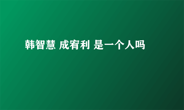 韩智慧 成宥利 是一个人吗