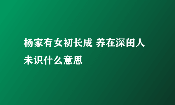 杨家有女初长成 养在深闺人未识什么意思