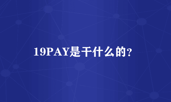 19PAY是干什么的？