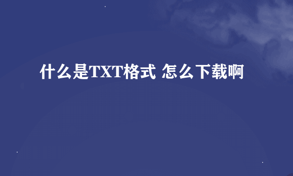 什么是TXT格式 怎么下载啊