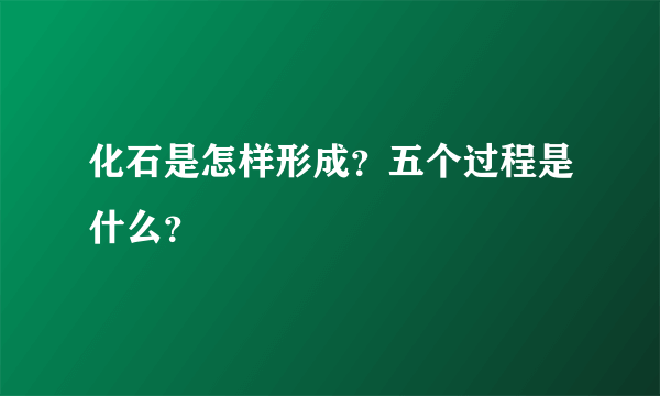 化石是怎样形成？五个过程是什么？