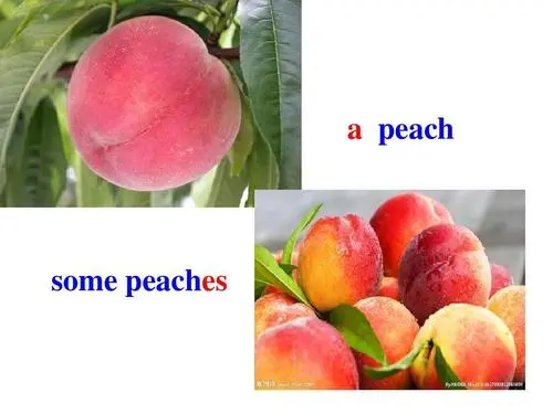 peach复数是什么?