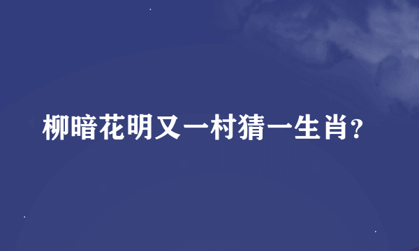 柳暗花明又一村猜一生肖？