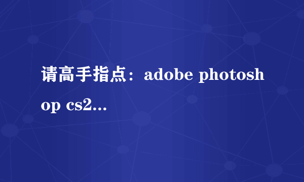 请高手指点：adobe photoshop cs2.exe的激活码或序列号