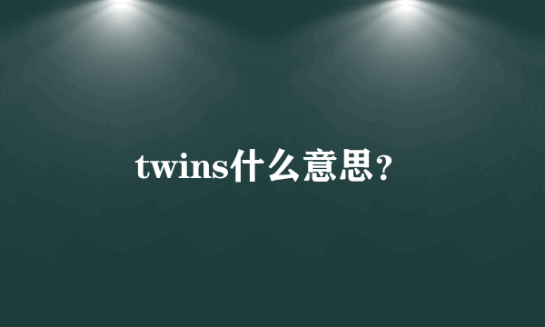 twins什么意思？