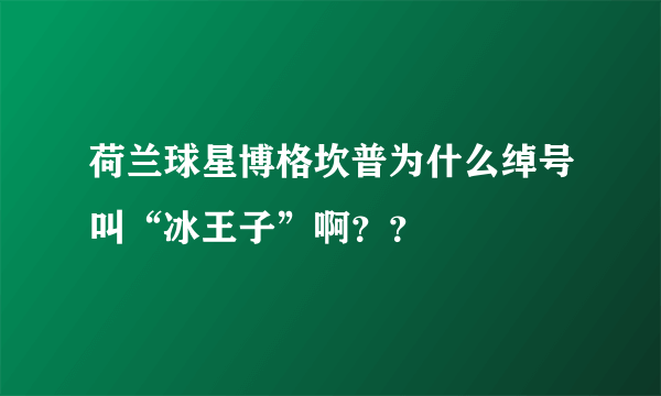 荷兰球星博格坎普为什么绰号叫“冰王子”啊？？