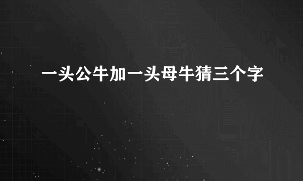 一头公牛加一头母牛猜三个字