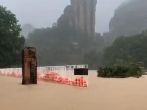 武夷山暴雨中猴子蹲桥上避险，猴子现状如何？