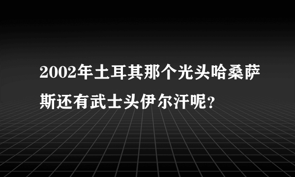 2002年土耳其那个光头哈桑萨斯还有武士头伊尔汗呢？