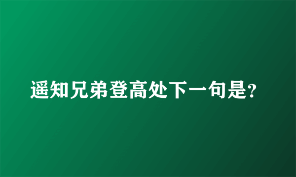 遥知兄弟登高处下一句是？