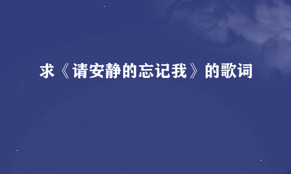 求《请安静的忘记我》的歌词