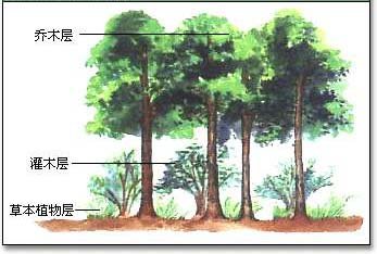 水平结构与垂直结构到底有什么区别？