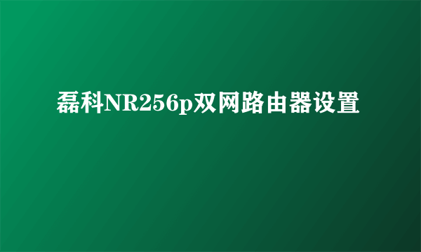 磊科NR256p双网路由器设置